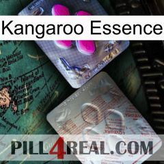 Kangaroo Essence 38